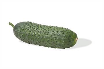 fresh small green cucumber isolated on white background. Healthy food concept.