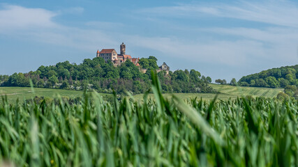 Fototapeta na wymiar view on ronneburg castle in hesse, germany with green foreground during summertime