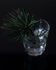 Glass tumbler with water and pine branch