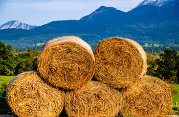 hay bales at a farm