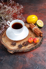 front view cup of tea with lemon and cinnamon on dark background tea fruit dark photo