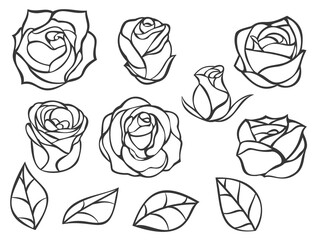 Set of roses buds and leaves in minimalistic hand drawn style. Collection monochrome flower elements isolated on white background. Vector illustration.