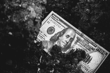 Lost american dollars in soil. Economical crisis in the US. Currency devaluation and inflation....