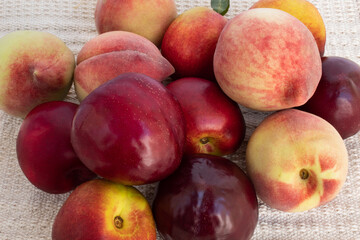 Peaches, plums and nectarines on rustic background