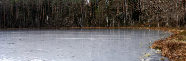 forest lake covered with ice tall trees on the shore