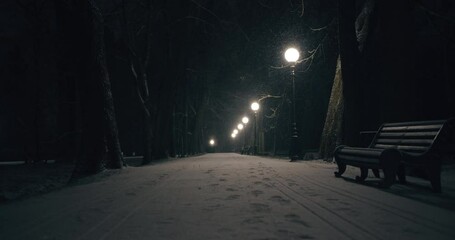 Snowing in city park at night street lights glowing in winter Christmas season - Powered by Adobe