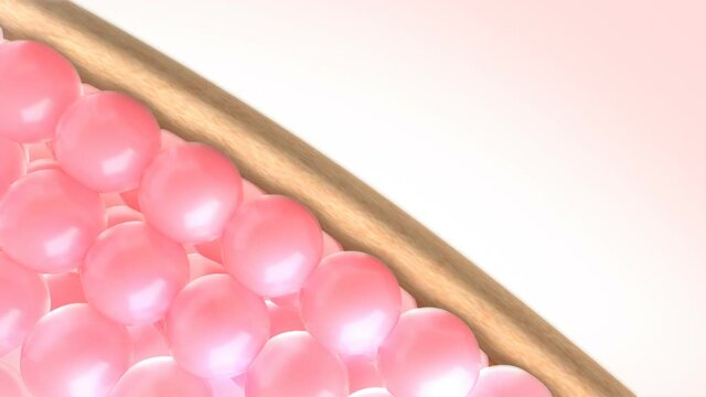 cream or Serum drops onto the  wrinkles and dark skin  and then change to firm and radiant facial skin. whitening cream and skin care concept. 3d animation