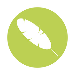 oblong leaf plant silhouette style icon vector illustration design