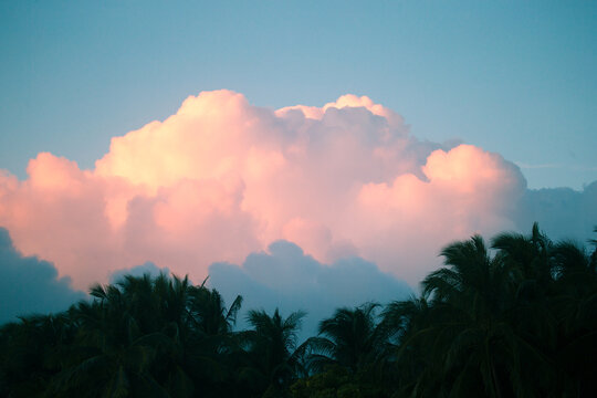 Beautiful Pink Sunset Over Palm Trees On A Tropical Island