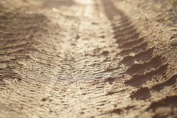 tire tracks on a dirt road