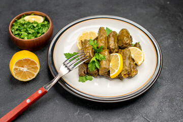 bottom view azerbaijani cuisine dolma with lemon slices and parsley leaves on white oval plate fork a bowl of parsley and a slice of lemon on dark background