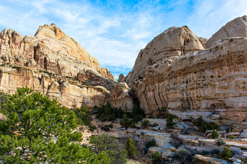 Capitol Reef Canyon