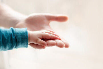 Obraz premium a parent father holds the hand of a small child