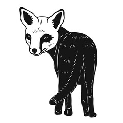 Fox vector by hand drawing.Fox Hand Screen Printed T Shirt