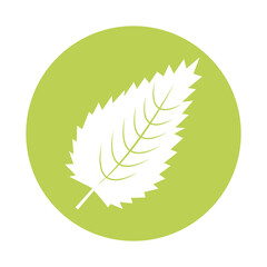 sawn leaf plant silhouette style vector illustration design