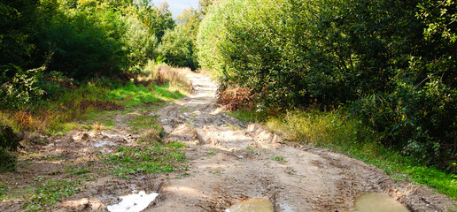 Forest damaged road with muds and holes. © Markoff