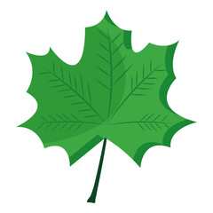webbed form leaf plant flat style vector illustration design