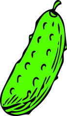 illustration of a cucumber on a white background