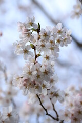 季節の変わり目