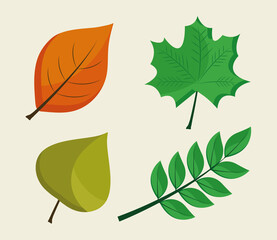 bundle of four leafs plants flat style icons vector illustration design