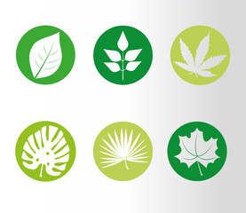 bundle of six leafs plants silhouette style icons vector illustration design