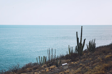 Entorno de la bahía de San Carlos, en el estado de Sonora, Mexico montañas, vegetación y costumbres.