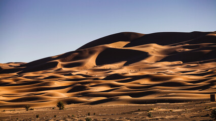 Wydmy piaskowe na Saharze, Maroko, 2017 r.
