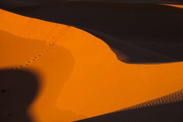 Wydmy piaskowe na Saharze, maroko, 2017r.