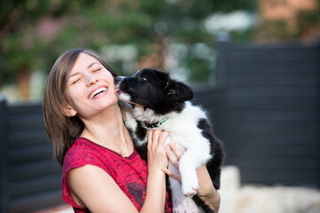 Naklejka na ściany i meble A precious black and white Border Collie puppy kissing a woman who is laughing with a big and pretty smile. 