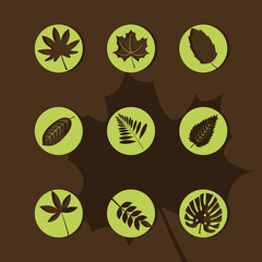 bundle of nine leafs plants silhouette style icons vector illustration design
