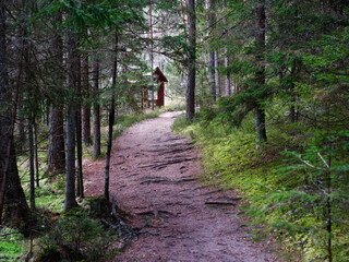 gazebo holiday house in a picturesque place in the forest