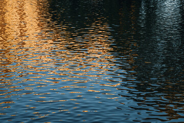 Light reflections on an urban pond