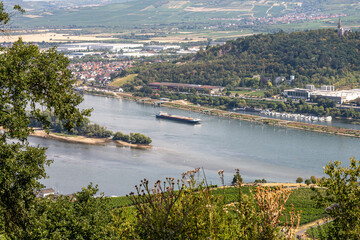 view on hillside vineyards along the Rhine River and the fulder aue island in the rhine near ruedesheim