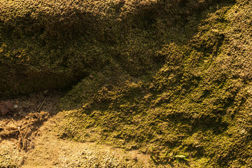 Dry stony brown soil close up