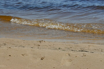 waves on the river beach