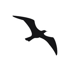 bird logo