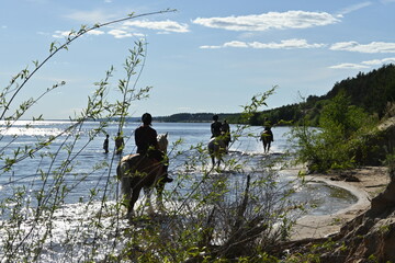 riders on horseback ride along the river on a Sunny day