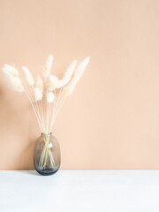 Still life of white dry lagurus flower in gray glass vase