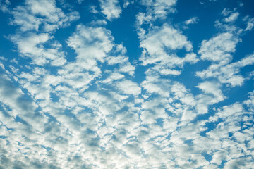 Fototapeta na wymiar blue sky with clouds receding into the distance
