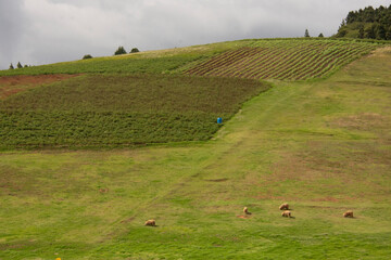 colombia boyaca villa de leyva raquira