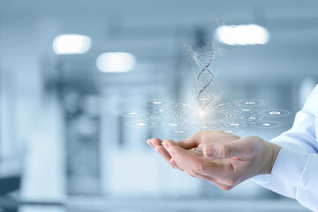 Doctor hands show DNA molecule .