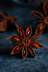.Close-up of star anise on bluish dark background.