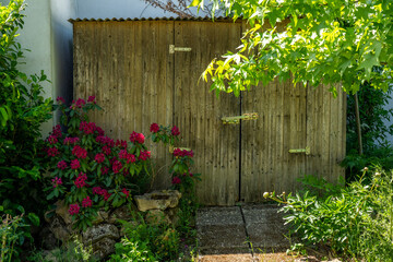 Fototapeta na wymiar old wooden shed in the sun with flowering plants and trees in the foreground