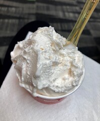 peppermint gelato in cup