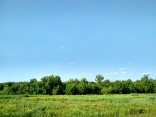 field and blue sky