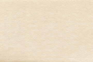 Vintage and old looking paper background. Retro cardboard texture. Grunge paper for drawing. Ancient book page.