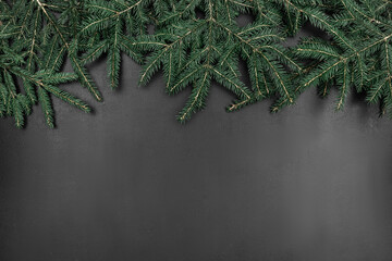green fir branches as a frame on a black chalkboard background. abstract mockup with copy space