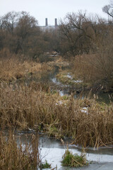 A small river in the park, covered with ice. Dry vegetation and reeds along the banks.