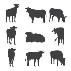 Set of cows black silhouettes in different poses vector illustration isolated.