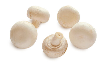 fresh raw champignons isolated on white close up